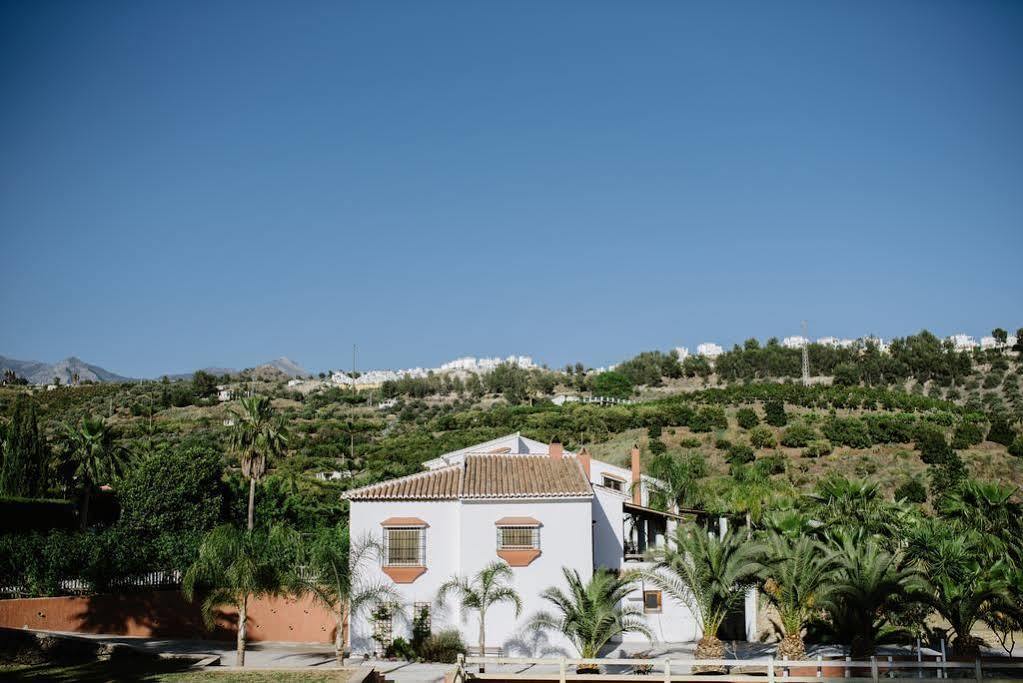 La Perla De Frigiliana Bed & Breakfast Deluxe Esterno foto